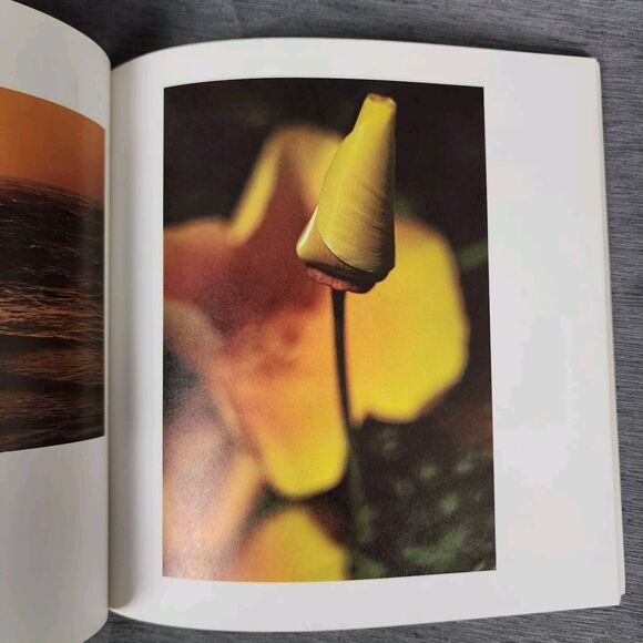 Stopping the World by Martin Schweitzer Nature Landscape Photos Photography Book - Picture 9 of 10